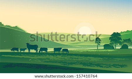 Summer morning. Rural Landscape and cows.