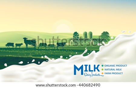 Rural landscape with cow and splash of milk. Morning sun and dawn.