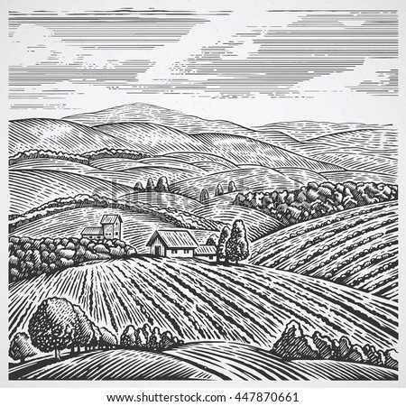 Rural landscape in graphic style, hand drawn and converted to vector Illustration.