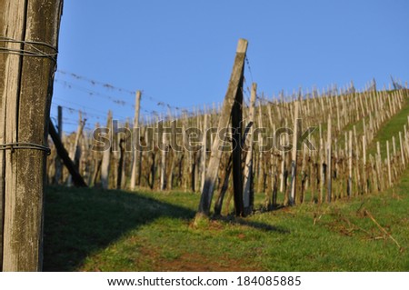 Vineyard at the Klocher wine route in springtime, South Styria, Austria
