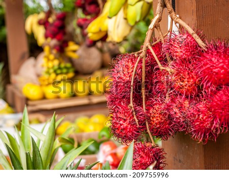 Dragon Fruit at a Hawaiian fruit stand.