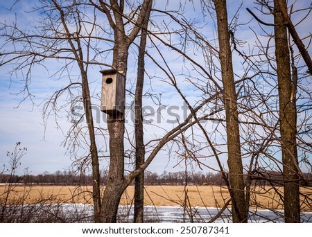 Wood duck box hung in a tree.