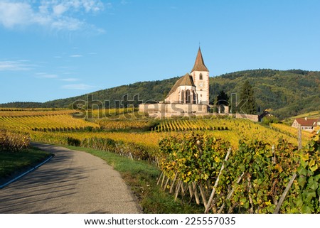 Fortified and medieval church in vineyard in autumn