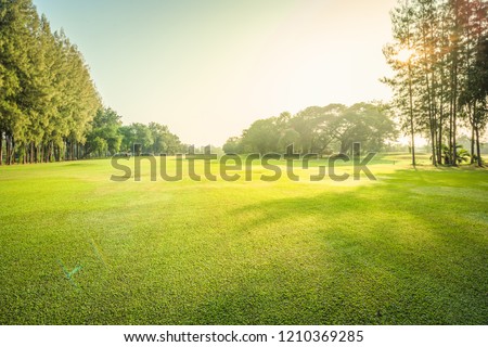 Scenery green golf and meadow with sunbeam in morning, Wonderful sunbeam at the natural park, Scenery fairway with trees and green grass field