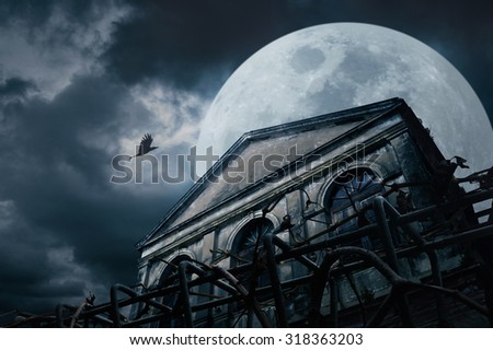 Old grunge building with bird at night over cloudy sky and the moon behind, mysterious background