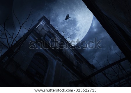 Old grunge building with bird and dead tree at night over cloudy sky and the moon behind, mysterious background