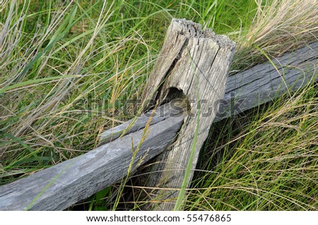 A wooden rail fence in grassy background