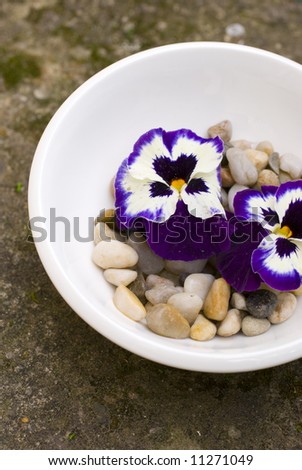 Zen decorative flowers, white bowl, romantic rock covered with moss and other natural decorative elements
