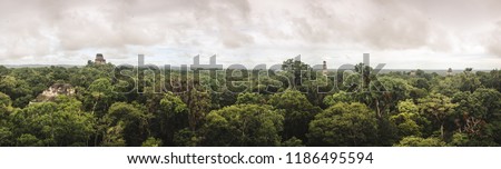 Panoramic view over the jungle and UNESCO site of Tikal, Guatemala from the top of the ruins of a Mayan temple
