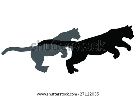 stock photo : Black wild cat silhouettes on white background