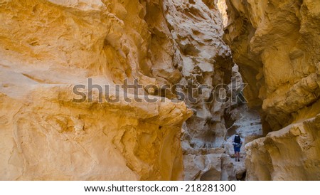 NEGEV DESERT, ISRAEL - APRIL: Hiker from Europe walking in canyon in  Negev Desert on April, 2013 in Negev Desert, Israel.