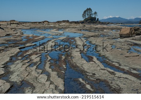 WEST COAST TRAIL, CANADA - MAY 2010:  Rocky beach on the West Coast Trail located on Vancouver island in British Columbia