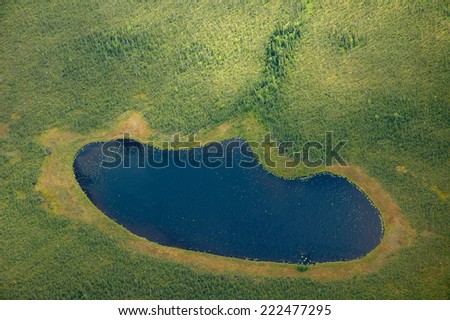 Aerial view of forest and lake in Wrangell St Elias National Park near McCarthy village, Alaska, USA