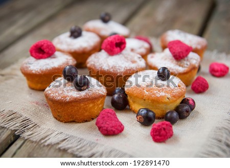 mini cupcakes with dried berries