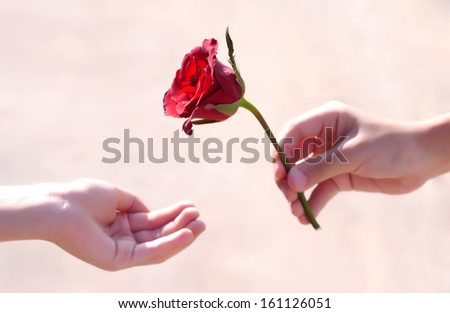 giving a rose
