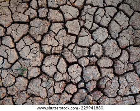 drought land , Arid lands background