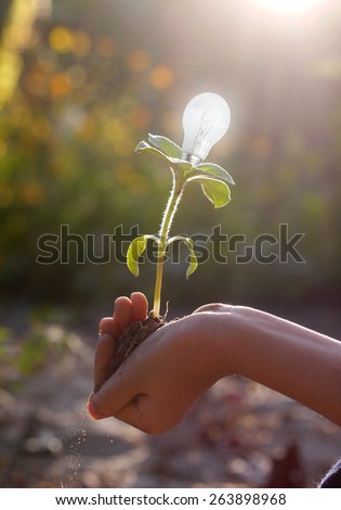 hand holding Light bulb to save the world