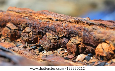 Rusty nuts and bolts on the Skeleton coast, Namaqualand, Northern Cape, South Africa