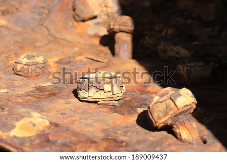 Rusty Nuts and Bolts on a shipwreck on the Skeleton coast, Namaqualand, Northern Cape, South Africa