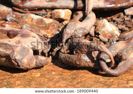 Claw like chain links on the Skeleton coast, Namaqualand, Northern Cape, South Africa