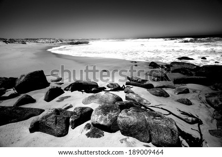 Black and white beach vista on the Skeleton coast, Namaqualand, Northern Cape, South Africa