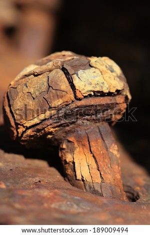 Macro of a fragmenting rusty bolt on a shipwreck on the Skeleton coast, Namaqualand, Northern Cape, South Africa