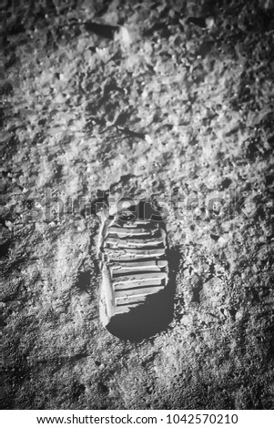 Buzz Aldrin's footprint on the moon. Astronaut's boot print on lunar moon landing mission. Moon Surface. Image of the Moon showing landing site of Apollo 11. Elements of this image furnished by NASA