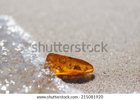 amber stone with insect inclusion on sand at baltic seashore