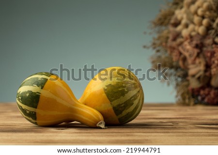 decorative mini pumpkins on wooden background