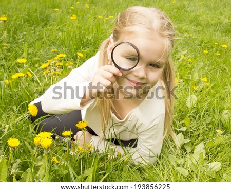 little girl considers dandelions flower through a magnifying glass on a summer meadow