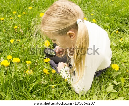 little girl considers dandelions flower through a magnifying glass on a summer meadow
