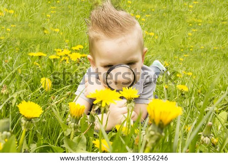 little boy looking through a magnifying glass on the grass and looks for a flawer