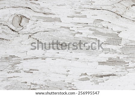 Gray wooden background of weathered distressed rustic wood with faded white paint
