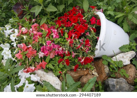 flowers in the white flower pot in the flower bed