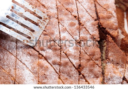 Closeup cake with powder sugar in tin and spatula food background