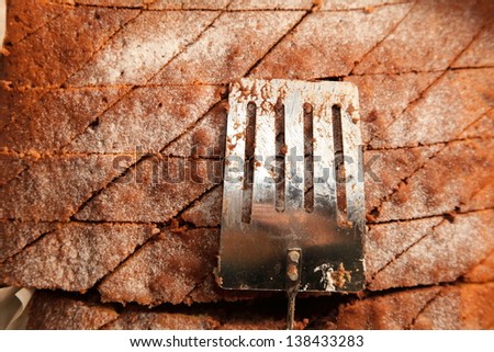 Closeup cake with powder sugar in tin and spatula food background