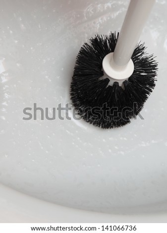 cleaning a toilet bowl with brush. Clean up your house.