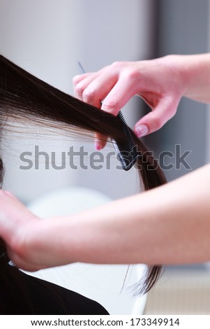 Close-up of hairstylist hands. Hairdresser combing hair of female client. Woman in hairdressing beauty salon.