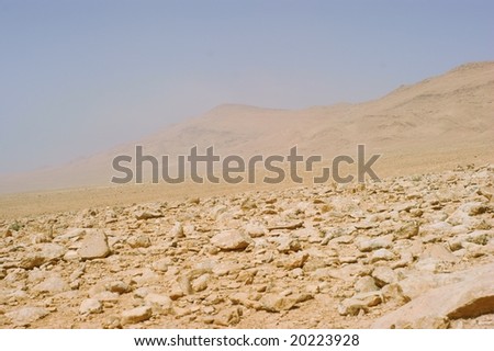 Stone desert in middle east