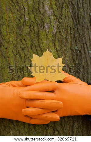 to lock  hands, Orange glove, green tree, yellow leaf, autumn