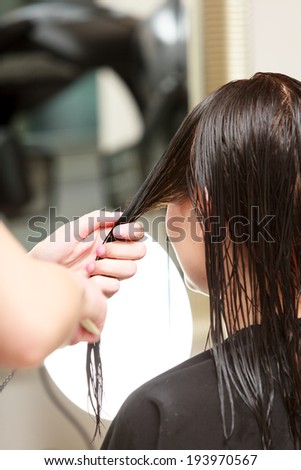 Hairstylist hairdresser combing hair of female client. Woman in hairdressing beauty salon.