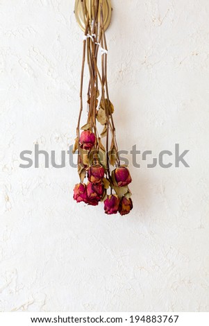 Memory of love. Dried red roses flowers frame blank copy space on white wall as romantic background. Indoor.