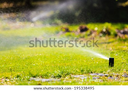 Gardening. Lawn sprinkler spraying water over green grass. Irrigation system - technique of watering in the garden.