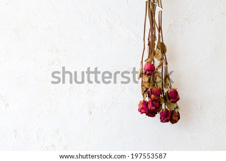 Memory of love. Dried red roses flowers frame blank copy space on white wall as romantic background. Indoor.