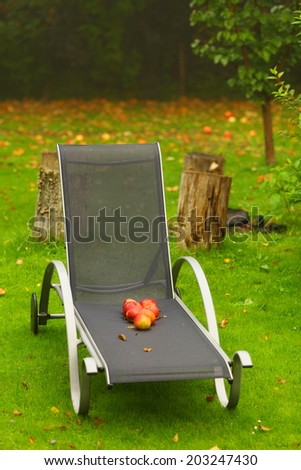 Autumn - fallen red apples on chair in garden.