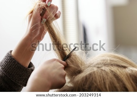 Closeup of female blond wavy hair by hairdresser. Hairstylist combing girl client. Young woman in hairdressing beauty salon. Hairstyle.