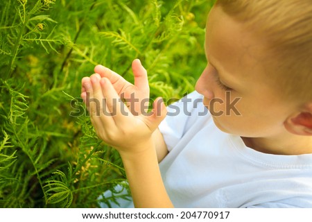 Child playing on green meadow examining field flowers. Environmental awareness education.