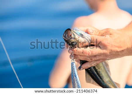 Fishing bait - rod with wobbler, fisherman angler holding fish