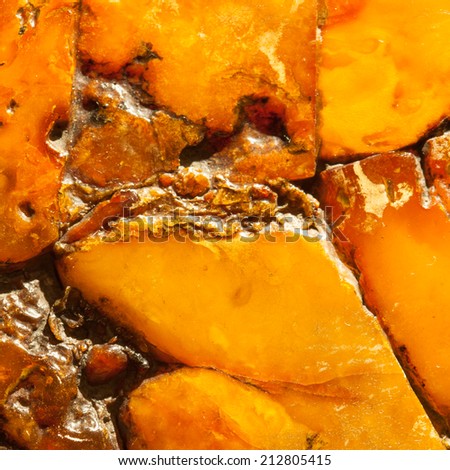 Macro. Closeup of amber as background texture or backdrop. Golden resin gem.