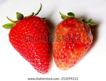 healthy and rotten spoiled bad red strawberries on white plat.e. Food waste.
